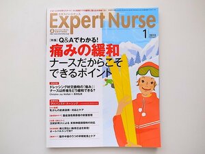 1911 Expert Nurse ( Expert nurse ) 2010 year 01 month number [ special collection ]Q&A. understand! pain. mitigation nurse that's why is possible Point 