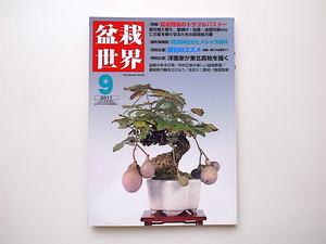 20a ◆ Bonsai World Septle 2011 Выпуск [Special] Проблемы с интенсивным телом оставшимся теплом