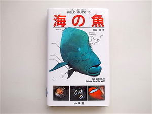 1904　 海の魚 (フィールド・ガイド) 田口 哲 (著)