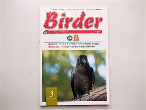 1903　BIRDER（バーダー）1999年3月号：烏　オーストラリアの鳥－ケアンズ市街地とその周辺