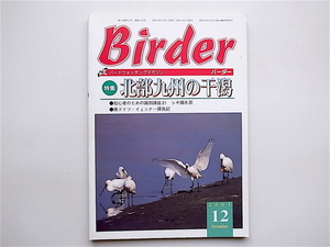 1903 Birder (Barder) декабрь 2001 г. «Специальные» приливные квартиры в северном Кюшу