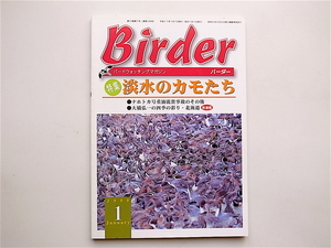 1903　BIRDER（バーダー）1999年1月号：淡水のカモたち　/ナホトカ号重油流出事故のその後