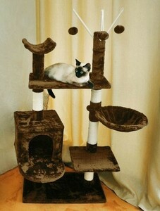 キャットタワー 猫タワー ハンモック付き 遊べる空間たっぷり 