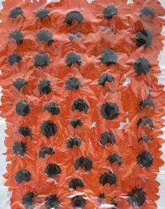 業務用 押し花素材　ミニヒマワリ　赤オレンジ　　２００輪 大容量 200枚ドライフラワー デコ レジン 封印