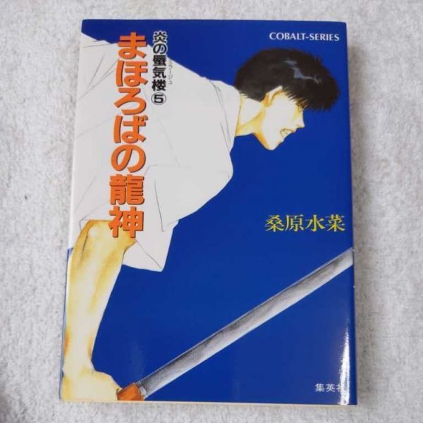 新作入荷 桑原水菜 炎の蜃気楼 全40巻など Bl小説74冊セット コバルト文庫 文庫