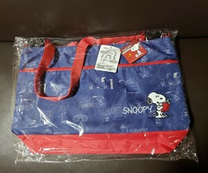 レッスンバッグ 2WAYレッスンバッグ スヌーピー 斜めがけ お稽古バッグ