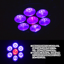 LED 電球 スポットライト 7W 青6　赤1 水槽 照明 E26 観賞育成用 LEDスポットライト 電気 水草 サンゴ 熱帯魚 観賞魚 植物育成_画像4