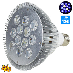 LED 電球 スポットライト 24W(2W×12)青10白2灯 水槽 照明 E26 LEDスポットライト 電気 水草 サンゴ 熱帯魚 観賞魚 植物育成