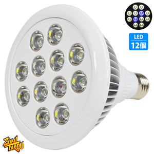LED 電球 スポットライト 24W(2W×12)白10青2 水槽 照明 E26 LEDスポットライト 電気 水草 サンゴ 熱帯魚 観賞魚 植物育成