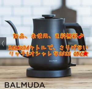 BALMUDA バルミューダ The Pot 電気ケトル K02A-BK