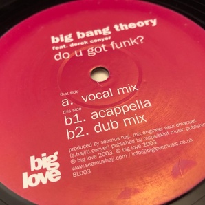12”★Big Bang Theory Feat. Derek Conyer / Do U Got Funk? / ファンキー・ヴォーカル・ハウス！の画像1