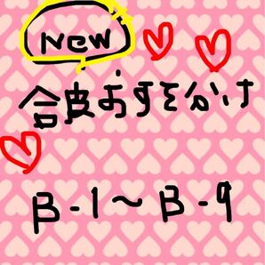 合皮おすそ分け B-1〜 B-9