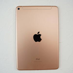 iPad mini 5 Wi-Fi+Cellular 256GB 7.9インチ ゴールド docomo simロック解除済 初期化して発送