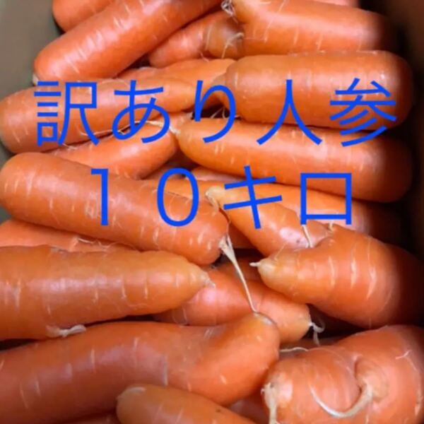 訳あり人参!