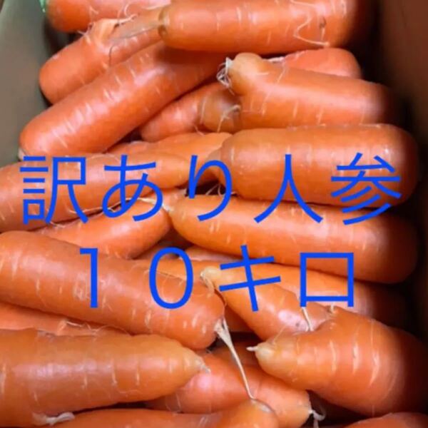 訳あり人参!