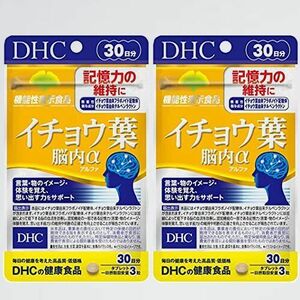 好評 新品 イチョウ葉 【２袋セット】DHC R-TN 脳内α(アルファ)30日分 【機能性表示食