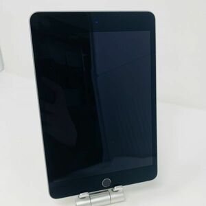【ジャンク】バッテリー100%・iPad mini5　256GB　スペースグレー　Wifiモデル◆119-01