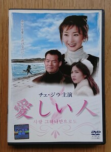 【レンタル版DVD】愛しい人 (別題:その愛一つだけで) 出演:チェ・ジウ 1996年作品