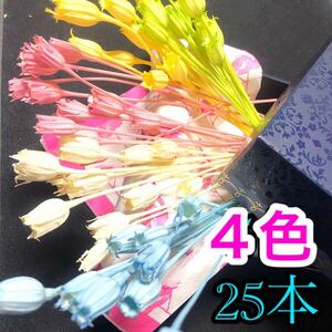 フローレンティナ 花材 プリザーブド