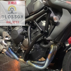 ★全国一律 送料7000円★新品未使用【MT-09/FZ-09専用：2014年～2020年】【全2色】スタントケージ エンジンガード ジムカーナ サーキット