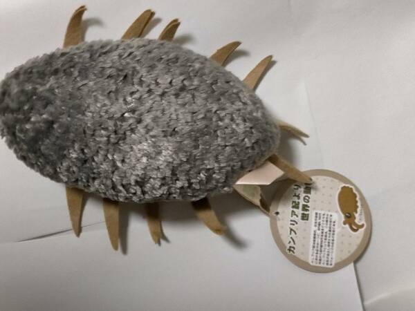  正規品 現状 カンブリア紀より 世界の動物 ぬいぐるみ ウィワクシア SHYARURU PALETTE Cambrian period Plush Doll Wiwaxia