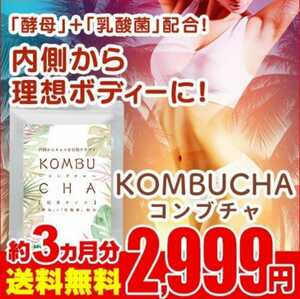 コンブチャ　KOMBUCHA　サプリメント　3ヶ月分　シードコムス　ダイエット　サプリ　健康　乳酸菌