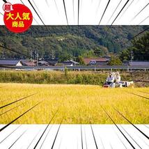 【精米】鳥取県産 白米 ひとめぼれ 5kg 令和3年産_画像2
