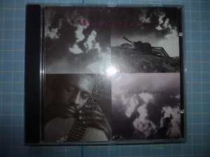 Ω　ＣＤ＊ジャズ＊Lloyd Gregory　ロイド・グレゴリー（アコースティック・ギタリスト）『Ｗonderful』全１０曲＊ＴＮＴレコード＊輸入盤