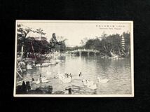 【戦前絵葉書・名古屋】舞鶴公園 白鳥_画像1