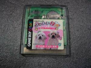 *GB color soft lovely . dog papi- Nakayoshi pet series 