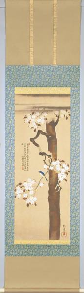 Free shipping Sakai Hōitsu Cherry blossoms and small birds hanging scroll painting, Painting, Japanese painting, Flowers and Birds, Wildlife