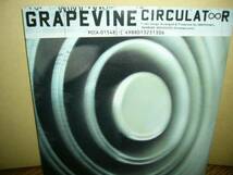 GRAPEVINE Circulator 難あり レンタル品_画像1