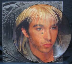 ピクチャー盤 LIMAHL(リマールKajagoogooカジャグーグー)