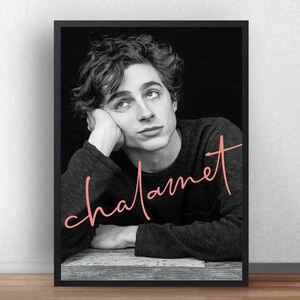 ティモシー・シャラメ ポスター 70x50cm 海外 Chalamet 俳優 グッズ 雑貨 インテリア 写真 キャンバス アート おしゃれ 4