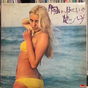 原田寛治とオールスターズ / 胸いっぱいの悲しみ 日本盤LP グルーヴ歌謡