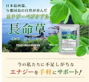  Energie bejitabru length life .( fucoidan * chlorella go in ) approximately 1 months minute fucoidan chlorella mozuku Okinawa production 