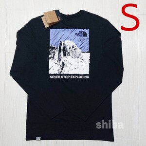 THE NORTH FACE ノースフェイス 長袖 ロンT ロング tシャツ ブラック 黒 海外限定 イラストゥレイティブ 海外S