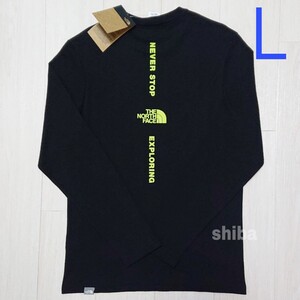THE NORTH FACE ノースフェイス 海外限定 長袖 ロンT ロング tシャツ ブラック 黒 バーティカル 海外Lサイズ