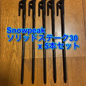 Snow peak スノーピーク ソリッドステーク 30 5本セット 新品