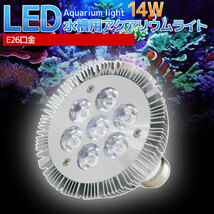 E26口金 14W 珊瑚 植物育成 水草用 水槽用 LED アクアリウムスポットライト 青7灯 【QL-05】_画像1