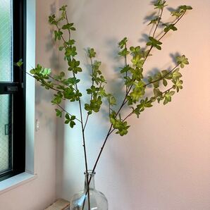 ドウダンツツジ N4 フェイクグリーン 2本 光触媒 接触抗菌 110cm 枝