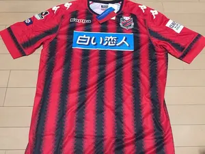 ヤフオク コンサドーレ札幌 ユニフォーム スポーツ レジャー の中古品 新品 未使用品一覧 ヤフオク コンサドーレ札幌 ユニフォーム スポーツ レジャー の中古品 新品 未使用品一覧