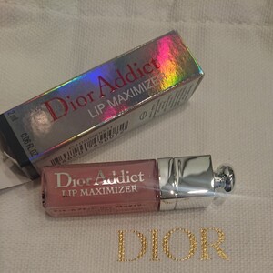 Dior アディクトリップマキシマイザー ミニ