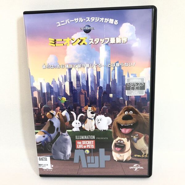 835.ペット DVD アニメ 映画 キッズ ユニバーサルスタジオ ミニオンズスタッフの作品