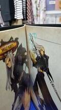 冊子　DRAGON'S CROWN ART WORKS ドラゴンクラウン アートワークス ATLUS 美品　まとめ取引歓迎_画像2