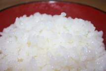 炊き立てのお米はピカピカの艶々