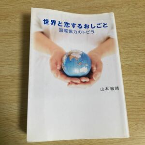 世界と恋するおしごと〜国際協力のトビラ〜/山本敏晴