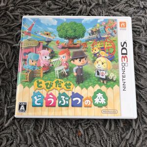 3DS とびだせどうぶつの森