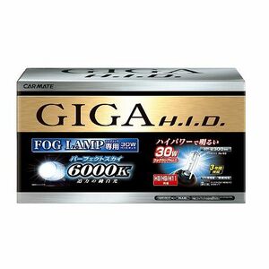 送料無料！ GIGA フォグランプ用HIDコンバージョンキット 6000K パーフェクトスカイ H8/H9/H11【GFK1160】