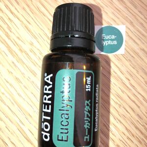 ドテラ ユーカリプタス15ml1本